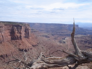 Canyonlands Slides