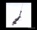 Bungee NZ