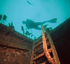 diving.jpg