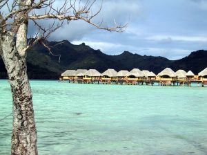 tahiti.jpg