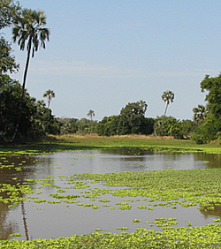 gorongosa2-mozambique