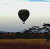 Serengeti