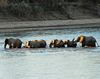 South Luangwa
